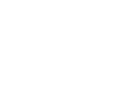 DC Shoes